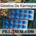 Karmagra Jelly viagra2